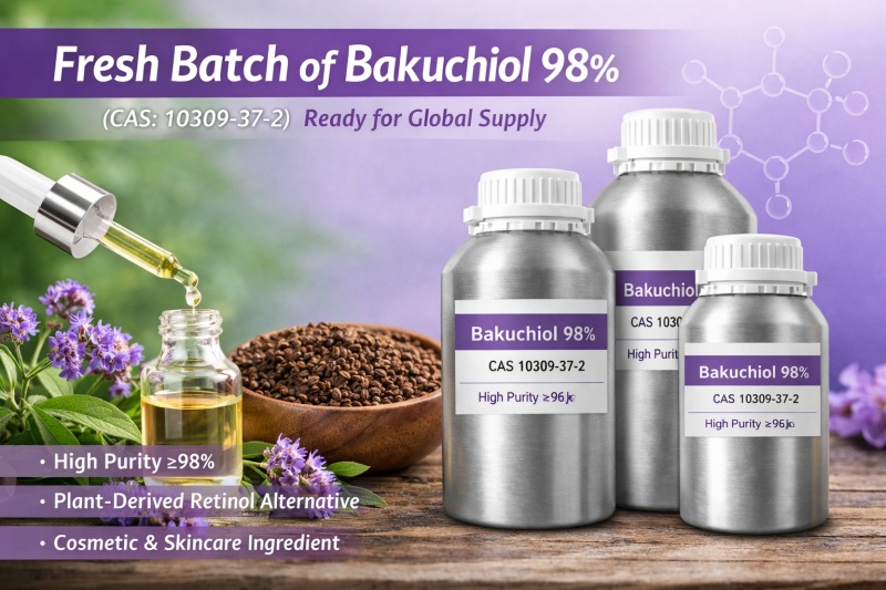 Fresh Batch of Bakuchiol 98% (CAS: 10309-37-2) Released — Ready for Global Supply